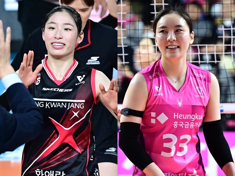 정관장 인쿠시-흥국생명 이나연./KOVO