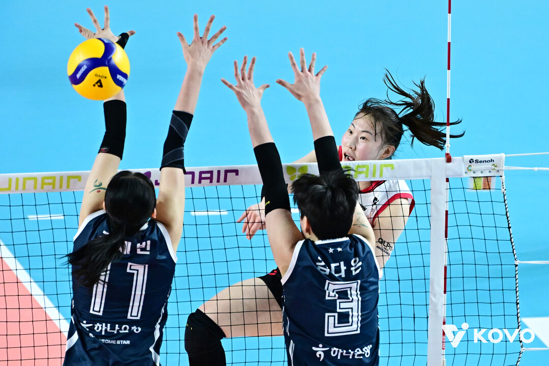 정관장 박여름/KOVO