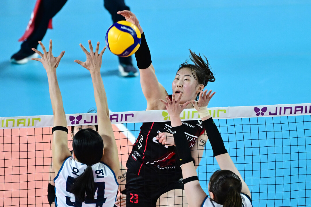 박여름 '정관장의 새로운 창'