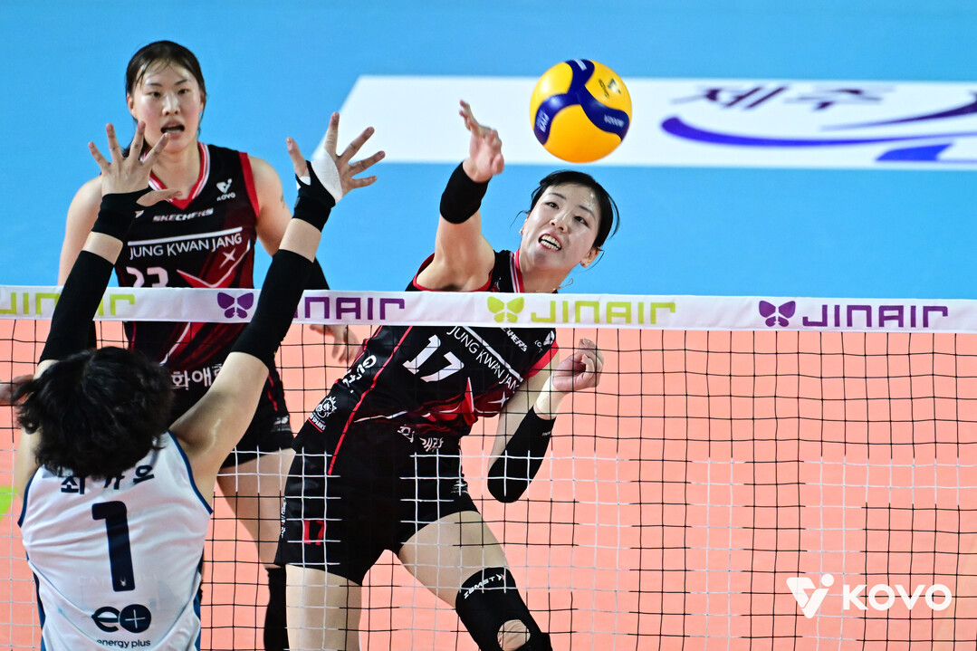 자네테 돌아왔는데, 정호영 손가락 골절로 시즌 아웃...‘8연패’ 정관장의 끝나지 않은 부상 악재