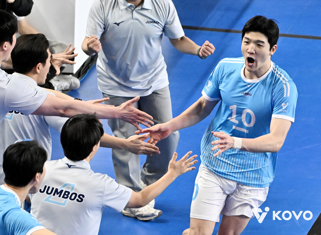 대한항공 정지석/KOVO