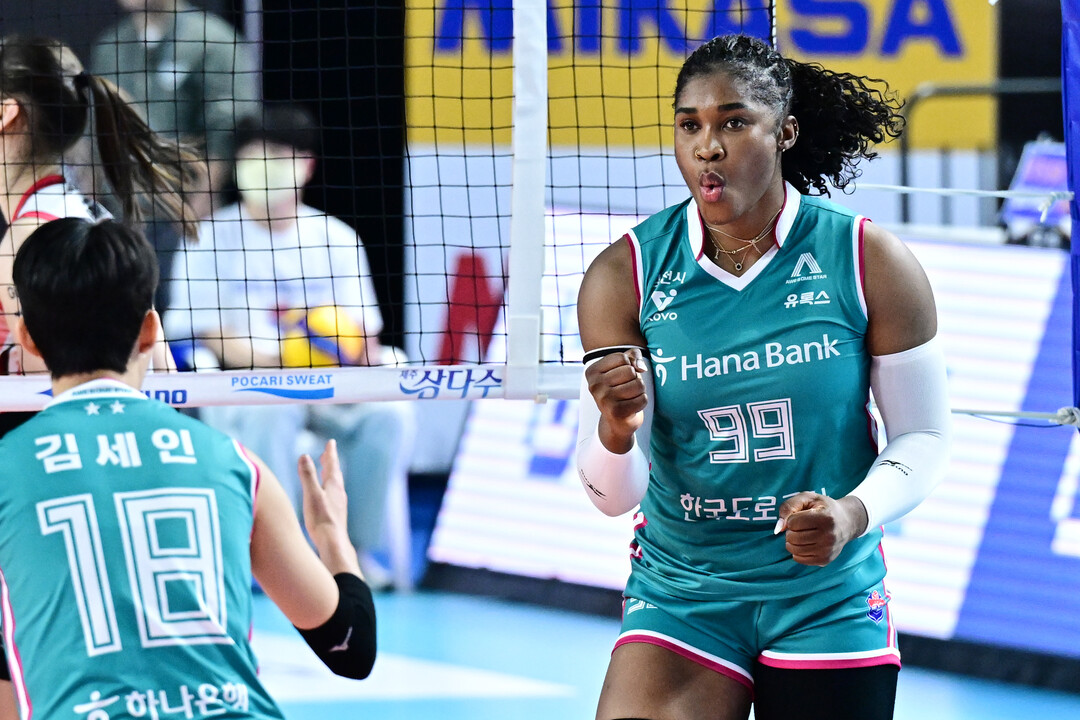 모마 '바로 이거야'